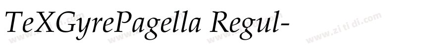 TeXGyrePagella Regul字体转换